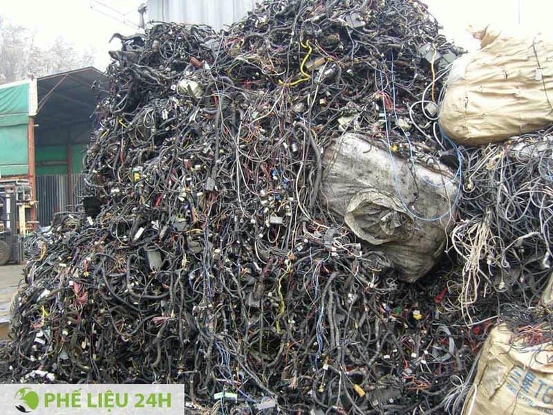 Thu mua số lượng nhỏ tại Nghệ An